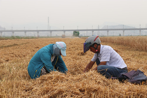 /gb2312/qishiyegonghui/12545.html